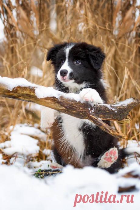 Magical Nature Tour Kerstin Benz - Fotografie 
…the pink paw..omg...