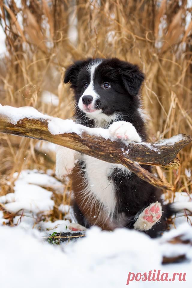 Magical Nature Tour Kerstin Benz - Fotografie 
…the pink paw..omg...