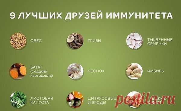 Новости
