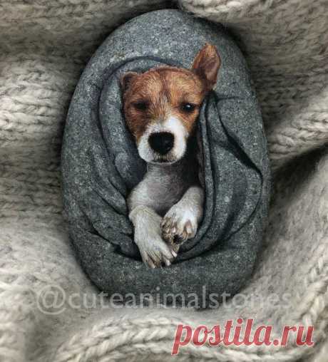 Роспись на камне от cuteanimalstones 
 
Очень реалистично, согласны? ♥