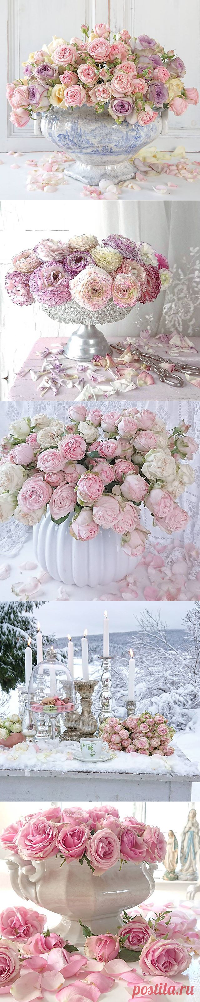 Toril Andreassen (@toril.a) • Фото и видео в Instagram