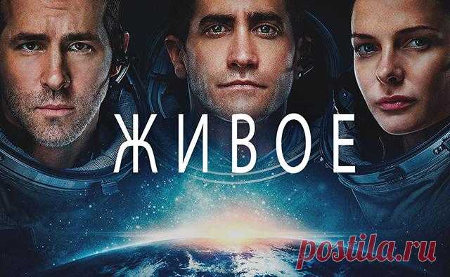 Лучшие фильмы, которые посмотрела в октябре: месяц триллеров и ужасов | Книжный Властелин | Пульс Mail.ru