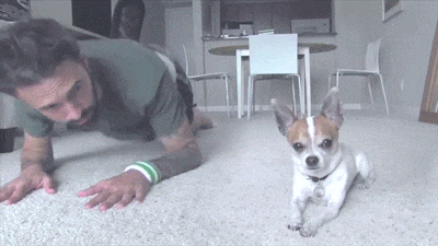 ЖИВЫЕ ФОТОГРАФИИ. AMAZING GIF. – Google+