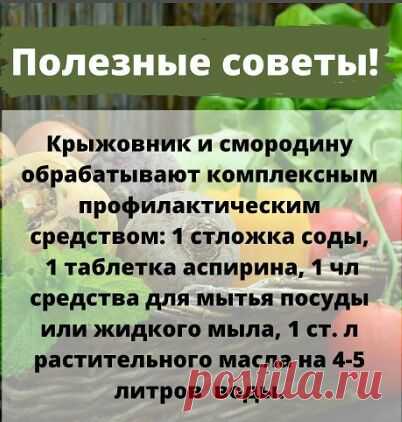 Людмила Горбунова - Заметки | OK.RU
