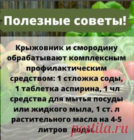 Людмила Горбунова - Заметки | OK.RU