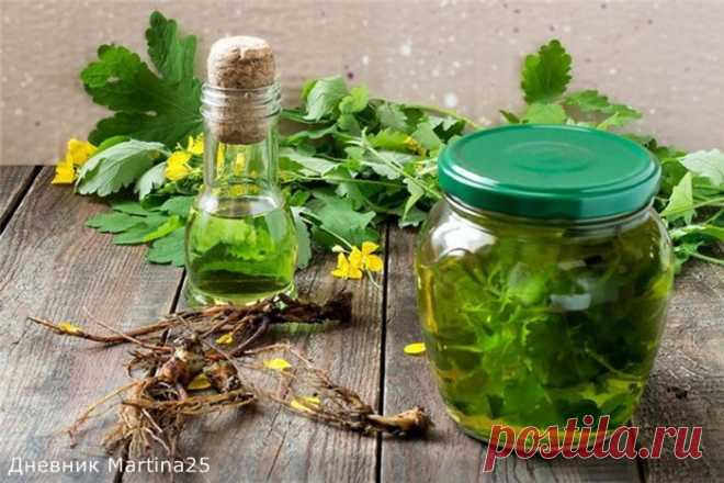 Особый рецепт целебного бальзама