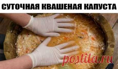 Суточная квашеная капуста в банке — просто бесподобный рецепт! Получается очень быстро, делается очень просто, а поедается моментально Можете мне поверить Каждый год я делаю много банок за сезон и всегда ничего не остается Итак, что нужно: капуста белокачанная, морковь, соль, сахар или мед,