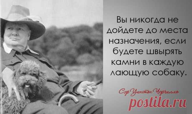 30 дерзких и мудрых цитат Уинстона Черчилля | Разно Всяко