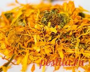 Травы для лечения гипертонии