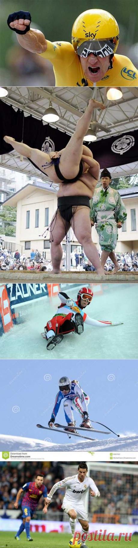 Ездовой спорт, Подводный хоккей, Лапта русская, Рукопашный бой. (1/1) - Спортивный форум. - Спортивный сайт