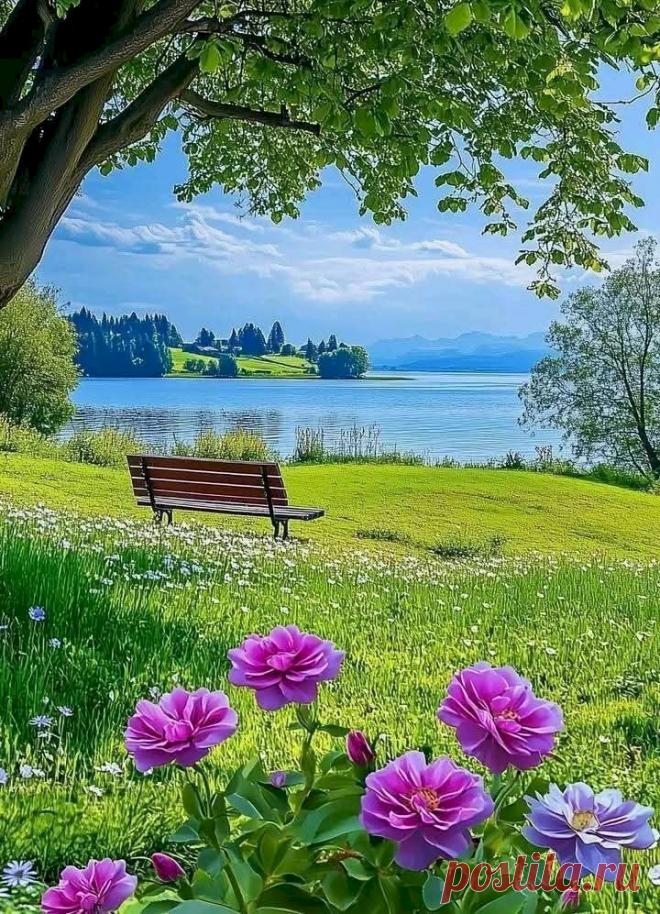 10680d5a.jpg (720×997)