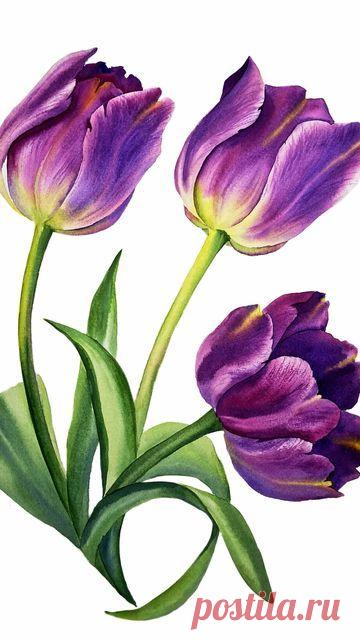 Пин на доске яТЮЛЬПАНЫ