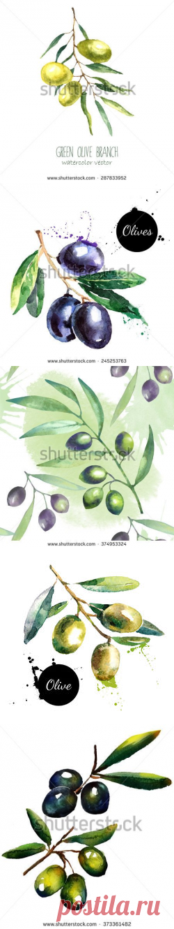 Banco de imágenes. Fotos y vectores libres de derechos - Shutterstock