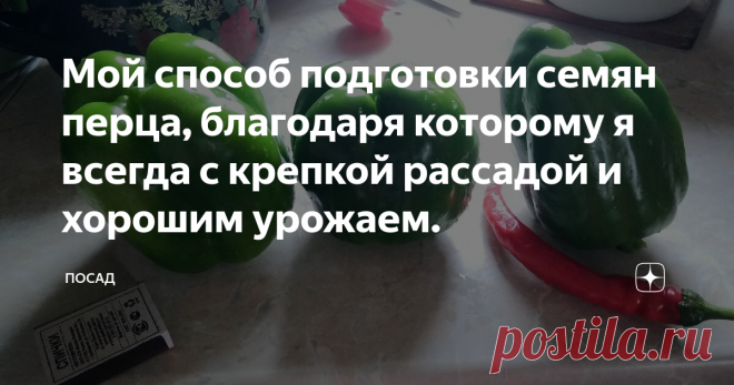 Мой способ подготовки семян перца, благодаря которому я всегда с крепкой рассадой и хорошим урожаем. Сегодня я расскажу о своём способе подготовки семян сладкого перца к посеву. Известно, что сладкий перец – большая капризуля. А у меня он послушный и сговорчивый. Сразу скажу, что мой способ не подразумевает никакой садовой эквилибристики. Всё просто, понятно и доступно каждому. А результат при этом отличный.
Семена перца лучше брать свежие, старые могут не взойти. А время вы