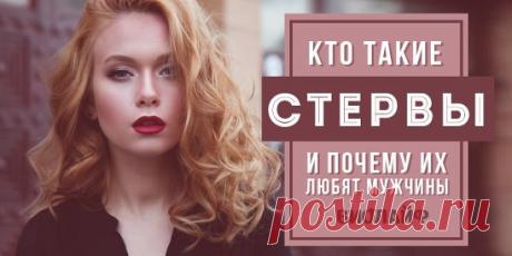 Кто такие стервы и почему их любят мужчины Источник:... | Интересный контент в группе Народные советы