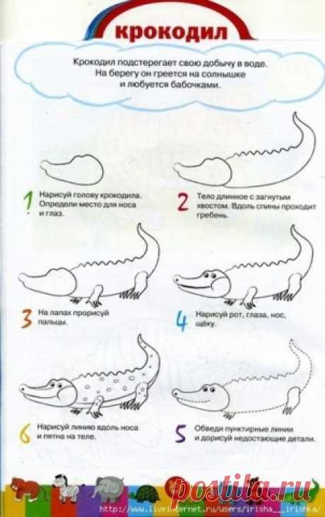 Рисуем животных . - Поделки с детьми | Деткиподелки