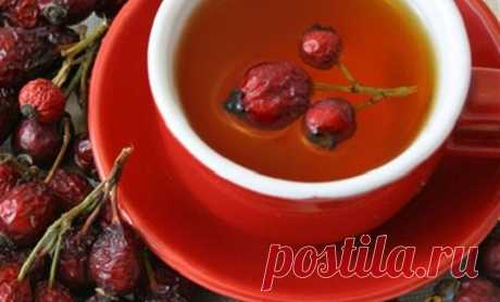 Как правильно приготовить витаминный отвар из шиповника с пользой для организма | Мой сад и огород | Яндекс Дзен