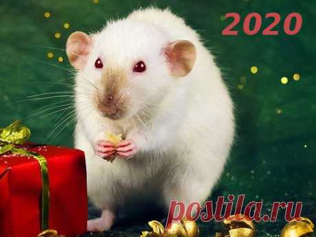 Гороскоп на 2020 год по году рождения Гороскоп на 2020 год поможет вам пережить это время с наименьшими проблемами, а также в присутствии удачи. Чтобы получить важные советы от экспертов, достаточно знать, какое животное является вашим покровителем.
