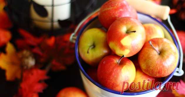 15 необычных рецептов из яблок | Picantecooking — авторский кулинарный сайт: пикантно о еде...