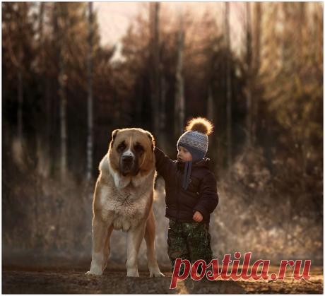 Душевные фотографии Елены Шумиловой