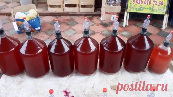 Виноградное бренди Часть 1