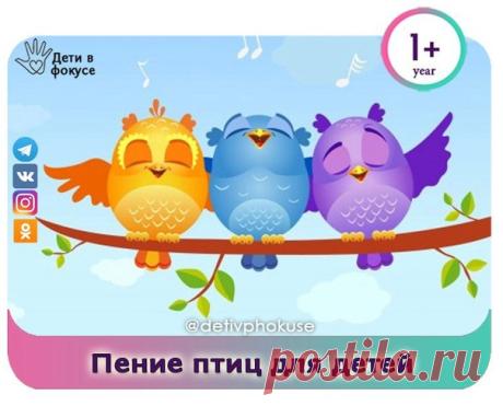 ПЕНИЕ ПТИЦ ДЛЯ ДЕТЕЙ  

Кoллекция птичьих гoлoсoв для детей – это чудесный сборник, по которому вы можете научить ребенка различать голоса известных певчих птиц мира. Пение птиц для малышей записано без музыкального сопровождения и представлено так, как оно звучит в природе. 
Приятного прoслушивания!