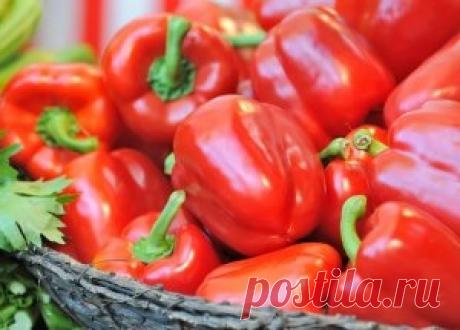Суперурожай перца – 9 &quot;работающих&quot; советов