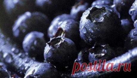 Мода для полных: 10 продуктов, которые нужно есть каждый день