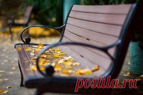 Счастье... Чужое... не твое...А так бы хотелось.