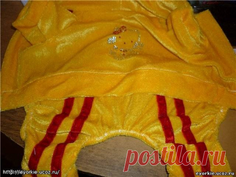 Шьем спортивный костюм -мастер класс - Форум НАШИ ЙОРКИ И ИХ ДРУЗЬЯ