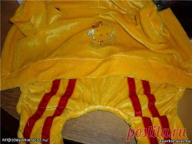 Шьем спортивный костюм -мастер класс - Форум НАШИ ЙОРКИ И ИХ ДРУЗЬЯ