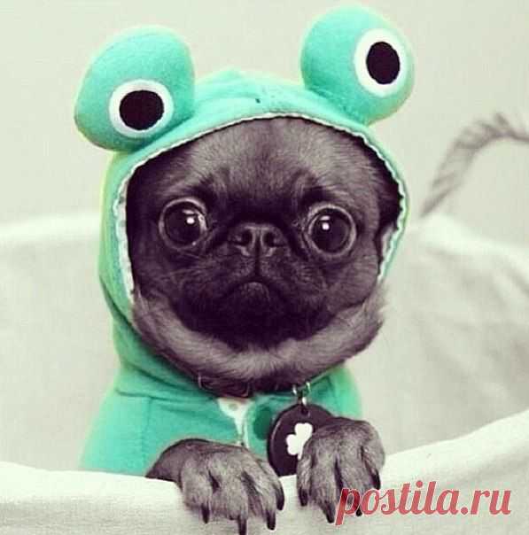 милашка