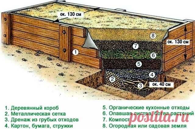 Как сделать грядки под клубнику: примеры и советы по обустройству - Огород, сад, балкон - медиаплатформа МирТесен