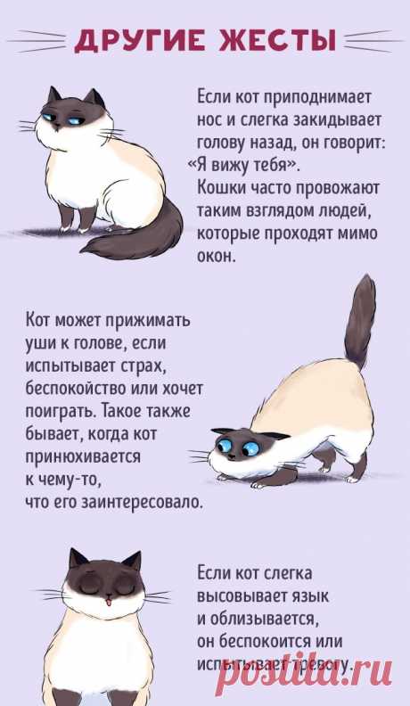 30404965-50119305-194697-4-0-1483104832-1483104843-650-15-1488295420-650-a57fccefbd-1492090747.jpg (650×1119)