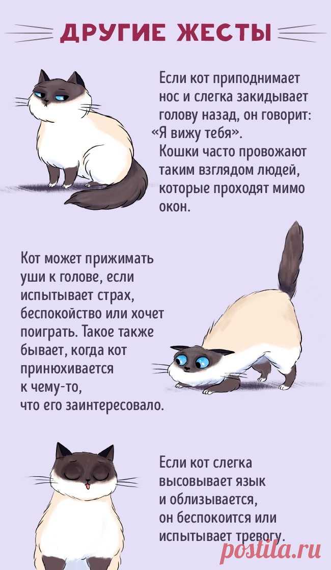 30404965-50119305-194697-4-0-1483104832-1483104843-650-15-1488295420-650-a57fccefbd-1492090747.jpg (650×1119)