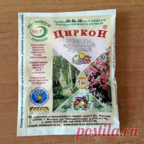 Чем подкормить клематисы — подкормки для роста и обильного цветения