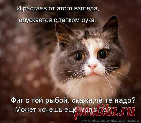 Группа: Смех до слез!