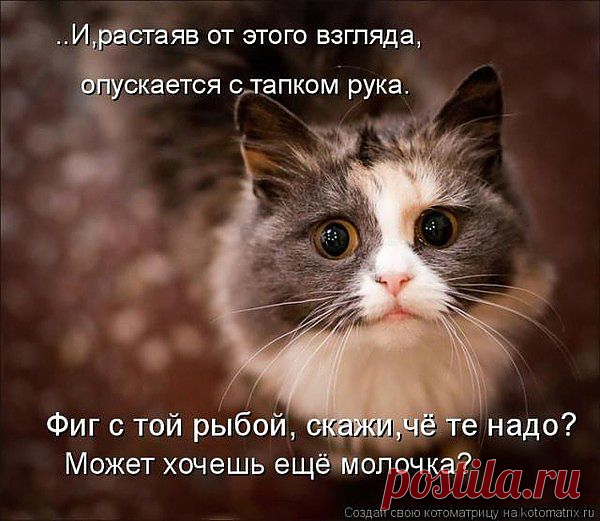 Группа: Смех до слез!