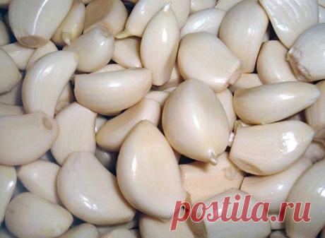 ЧЕСНОЧНАЯ НАСТОЙКА ОТ СТА БОЛЕЗНЕЙ!

В прозрачную бутылку положить 12 зубчиков чеснока, каждый разделенный на 4 части. Залить тремя стаканами красного вина. Закрыть и поставить на солнечную сторону окна на две недели. Каждый день взбалтывать 2-3 раза. Затем процедить и перелить в темную бутылку.

Принимать по 1 ч. ложке 3 раза в день в течении месяца.

Чудодейственное средство, чтобы вывести соли из организма, повысить работоспособность, очистить кровь, улучшить иммунитет,...