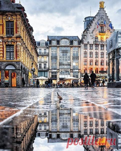 #Лилль@discoverygroup