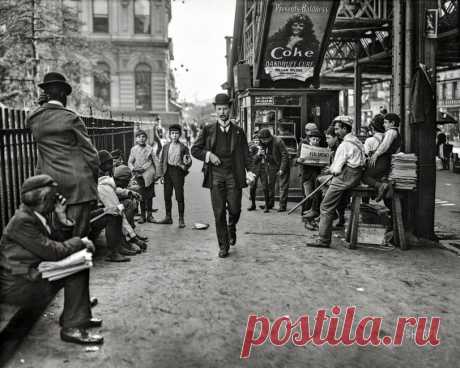 Dandruff Avalanche: 1903 May 1903. New York. "Newsboys at Greeley Square." Our title is a word salad plucked fresh from this 8x10 inch glass negative. Detroit Photographic Company.