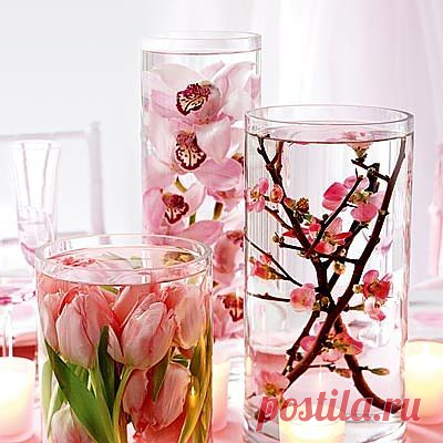 Как законсервировать цветы в глицерине