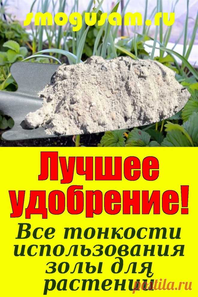 📌Лучшее удобрение!👍 Супер защита сада и огорода!👍 Тонкости использования золы для🌱 в 2024 г | Удобрение для сада, Растения, Огород