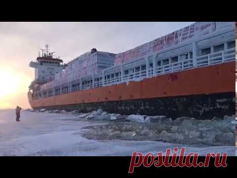 Выгрузка на ледовом причале в районе Салмановского ГКМ