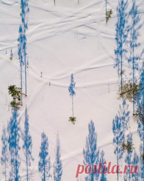 Голубые тени. Карелия. Автор фото – Михаил Проскалов: nat-geo.ru/photo/user/291181/