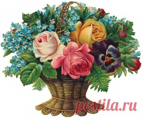 Плейкаст «***С днём рождения!***»
