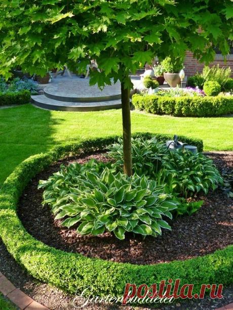 Как помочь дереву и украсить сад одновременно? Секреты приствольных кругов