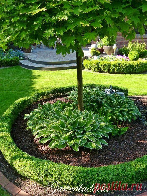 Как помочь дереву и украсить сад одновременно? Секреты приствольных кругов