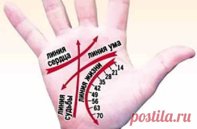 Хиромантия без цыганок: простые техники, доступные каждому! Умение разбираться в линиях на руках – это ключ к разгадке нашего будущего.Карта жизни – иначе наши ладони не назовешь. Для того, чтобы прочитать их, не обязательно быть специально обученным профессионалом. Мы предлагаем вам предсказать свою судьбу самостоятельно!