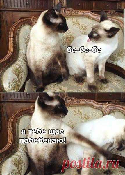 Прикольные мемы дня! / Приколы